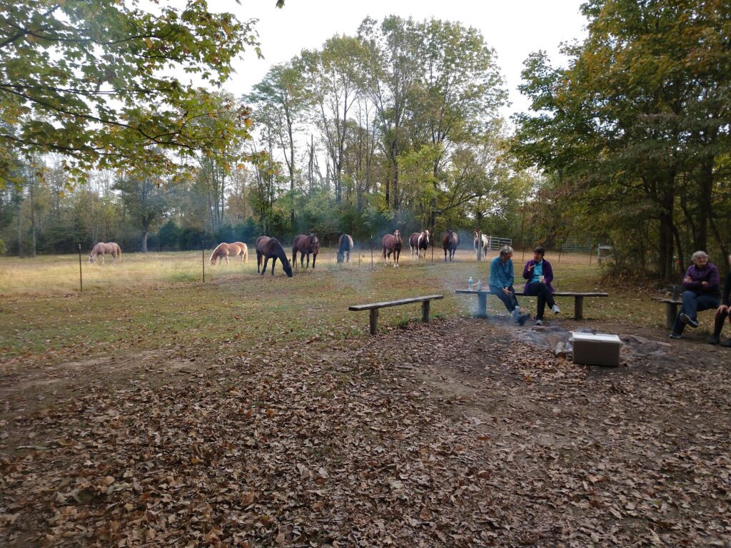 Equestrian Programs Camp Ondessonk