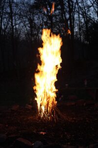 Tall bonfire burning amid dark forest.