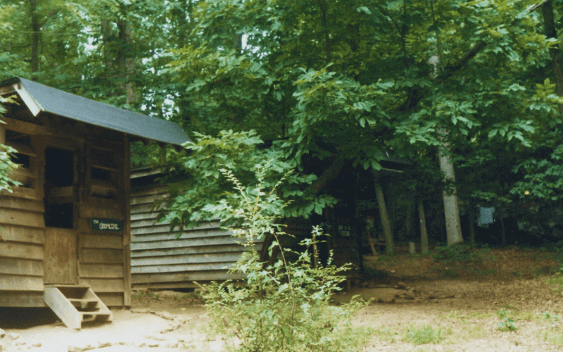 Old wooden cabin with steps in forest