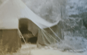 Old canvas tent in woods.