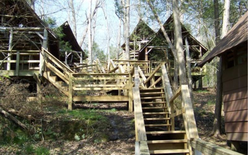Wooden cabins connected by staircases in forest.