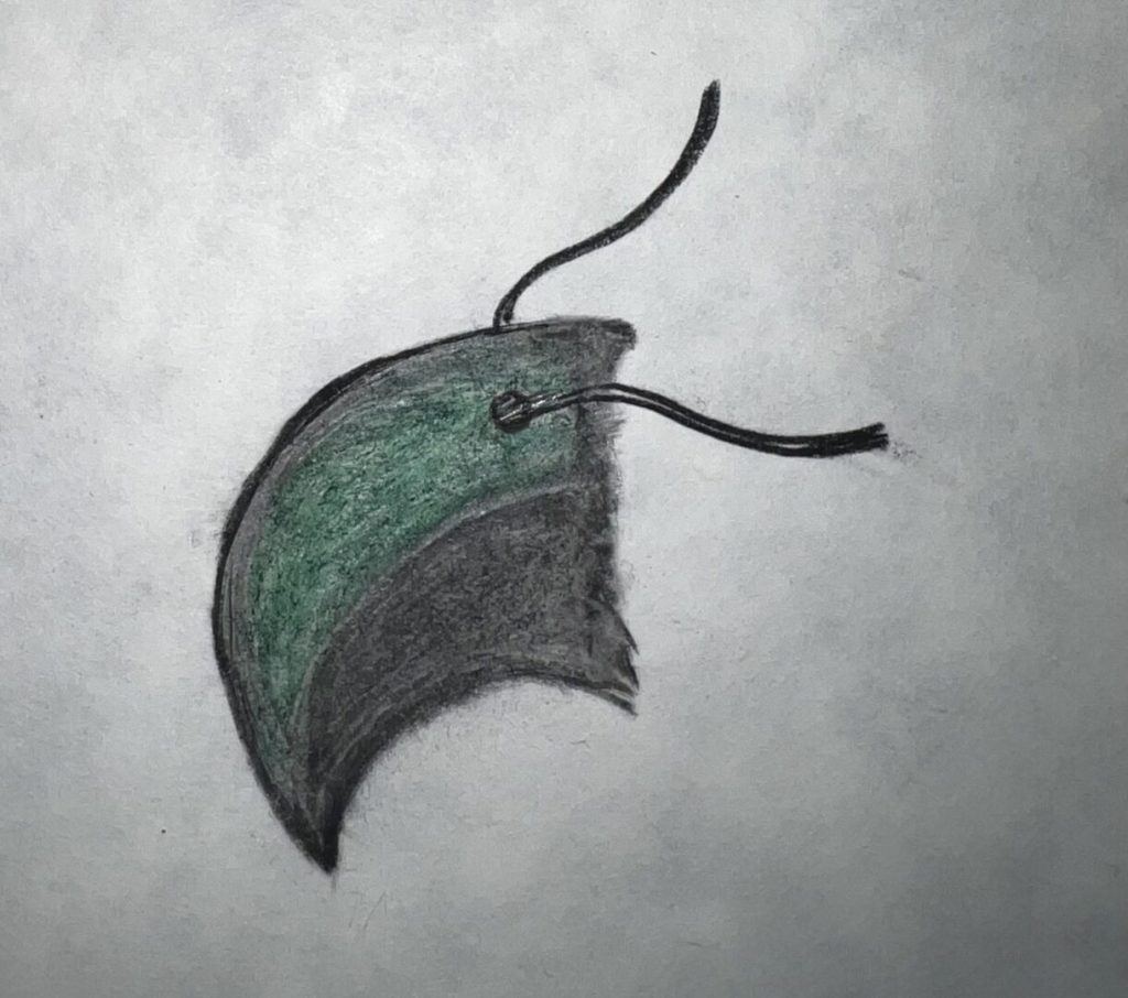 Hand-drawn green and black face mask