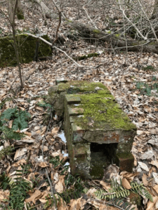 Moss-covered brick structure in woods.