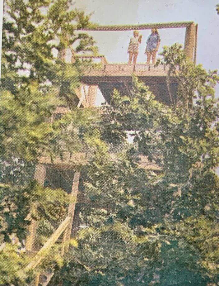 Two women on a wooden platform in the trees.