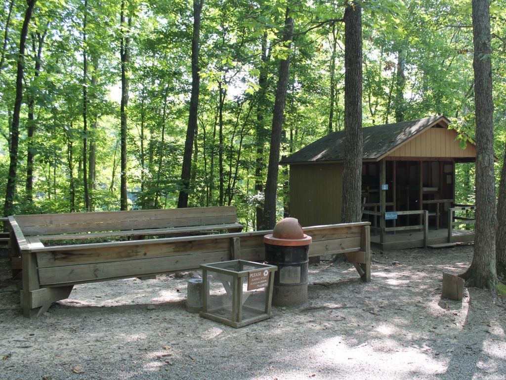 Wooden benches and cabin in forest.