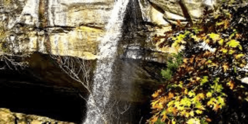 Waterfall cascading down rocky cliff.