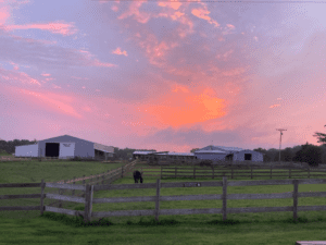 Camp Ondessonk – Ringing in the New Year