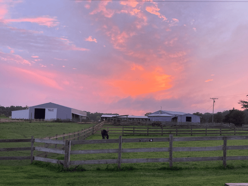 Camp Ondessonk – Ringing in the New Year