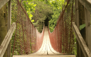 Celebrate Spring at Camp Ondessonk!