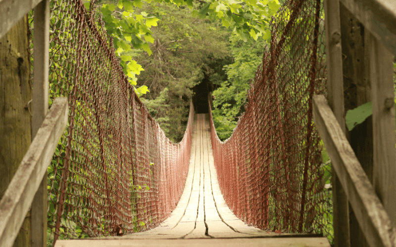 Celebrate Spring at Camp Ondessonk!