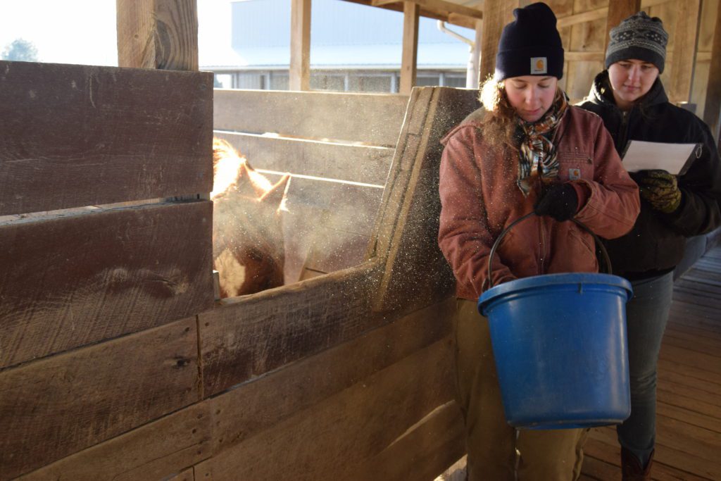A woman undergoing Wrangler Training confidently holds a bucket.