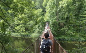 People crossing a suspension bridge in forest.
