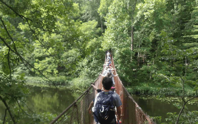 People crossing a suspension bridge in forest.