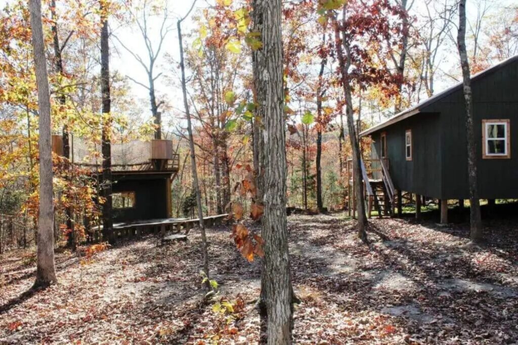 Rustic elevated cabins nestled in autumn forest