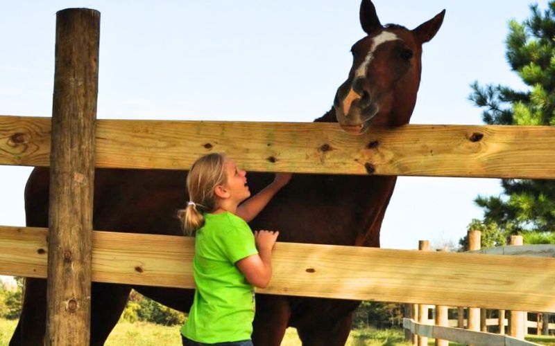 Child in lime shirt reaching to stroke horse
