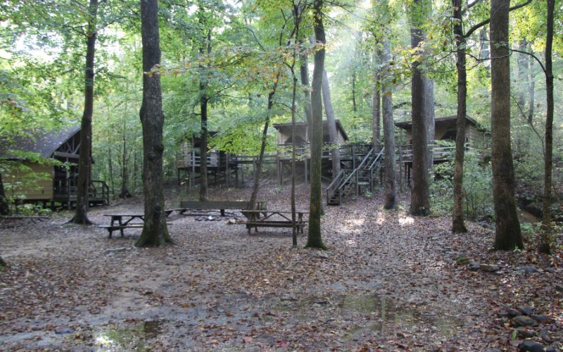 From The Director's Desk- Burn Ban, Raindrops, and Rag Rats