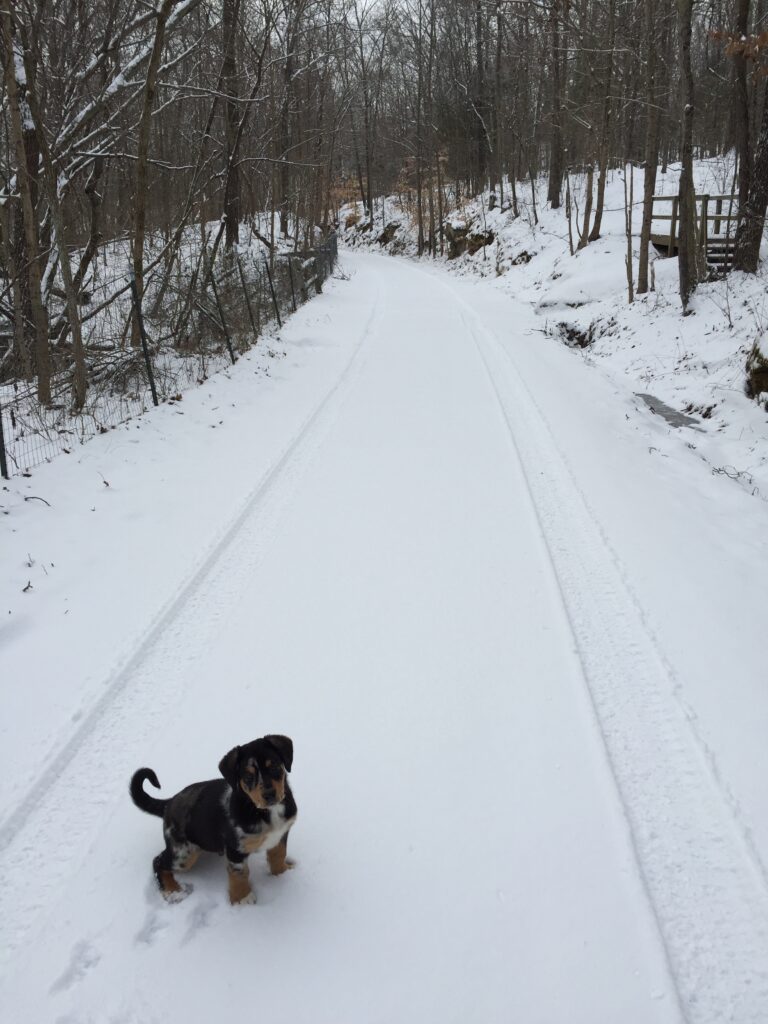 Trails, Traditions, and Friendship