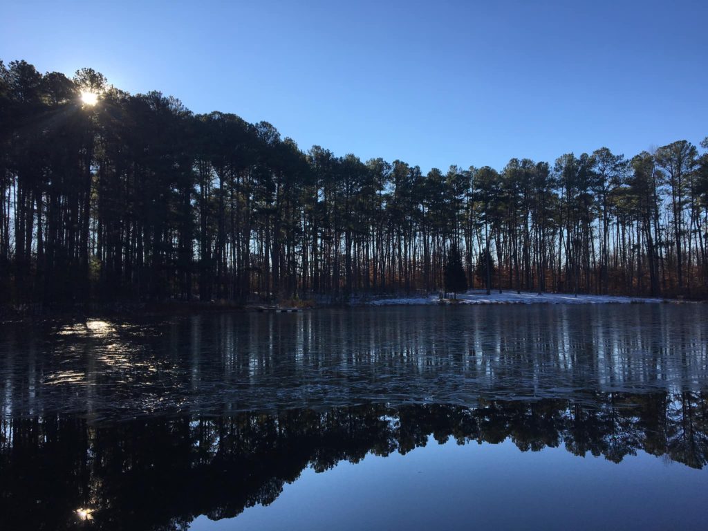 Silhouetted trees reflected in a frozen lake.