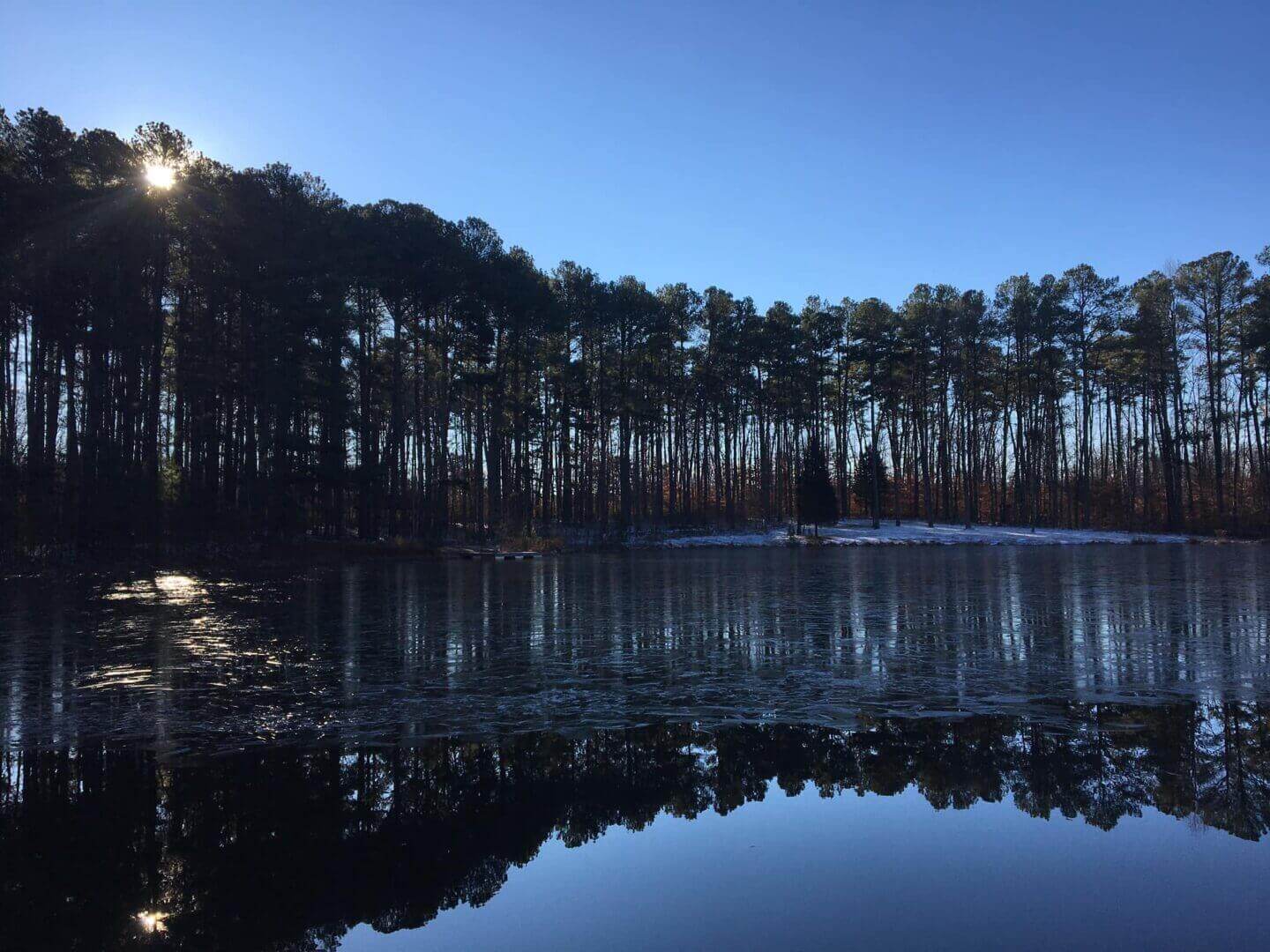 Silhouetted trees reflected in a frozen lake.