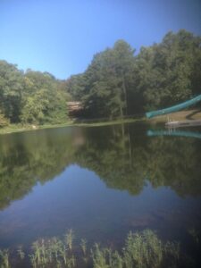 Serene lake reflecting trees and slide.
