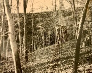 Sepia-toned photo of winter woods.