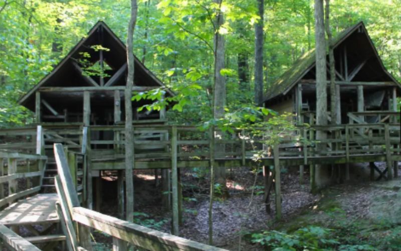 Lalemant...from Tents to Treehouse
