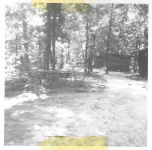 Black and white photo of a forest path.