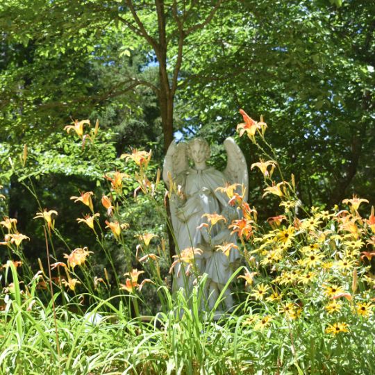 Stone angel statue surrounded by flowers.