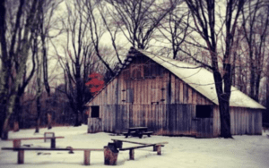 Remembering Winter at Camp
