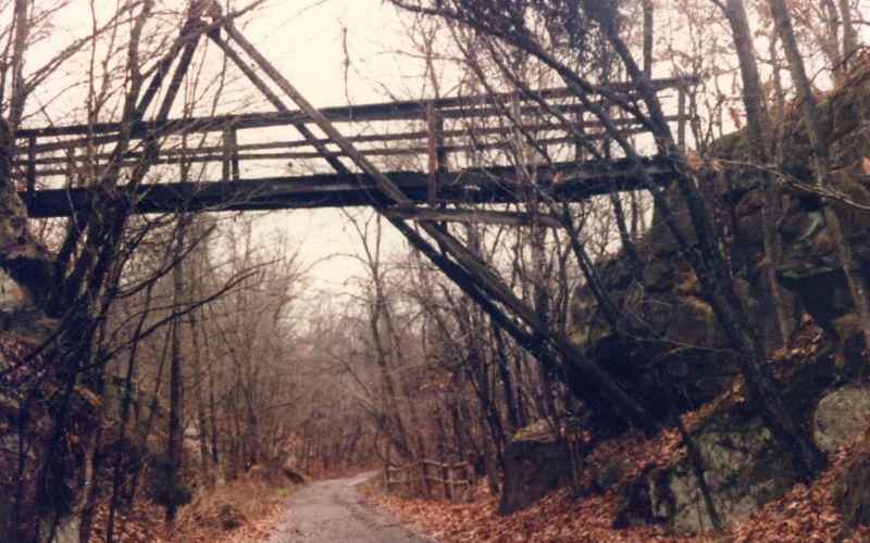 Wooden bridge over forest trail in autumn.