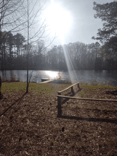Primitive Ondessonk Pine Lake Camper vs Wild