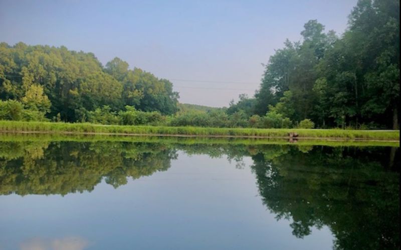 REFLECTIONS