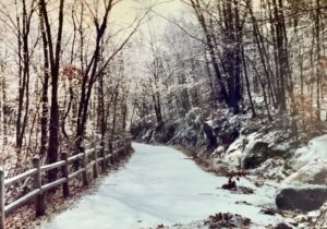 Snowy path through winter woods.