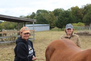 Successful Work Weekend at Camp O Stable Round-up Ondessonk