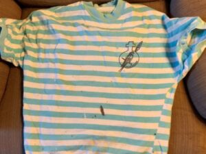 Dirty teal and white striped shirt with bird logo.