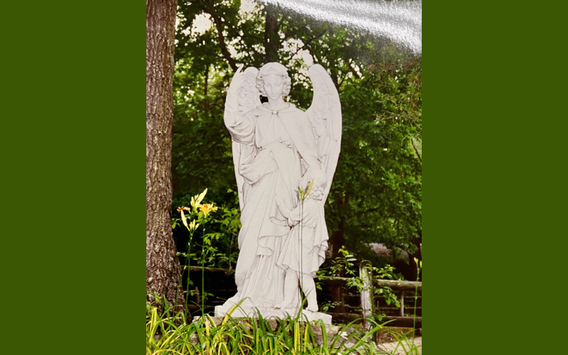 Stone angel statue amid trees and foliage