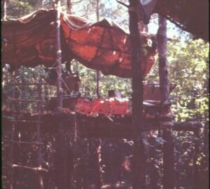 Forest platform camp with hanging orange canopy
