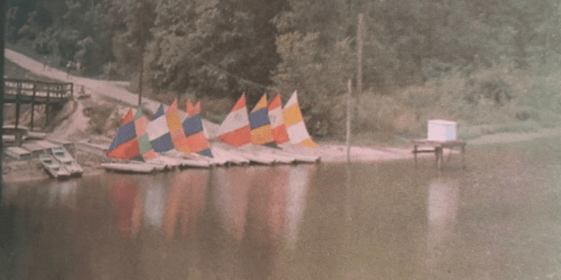 Colorful sailboats docked by lake shore.