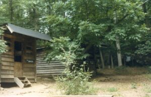 Rustic wooden cabins in leafy forest