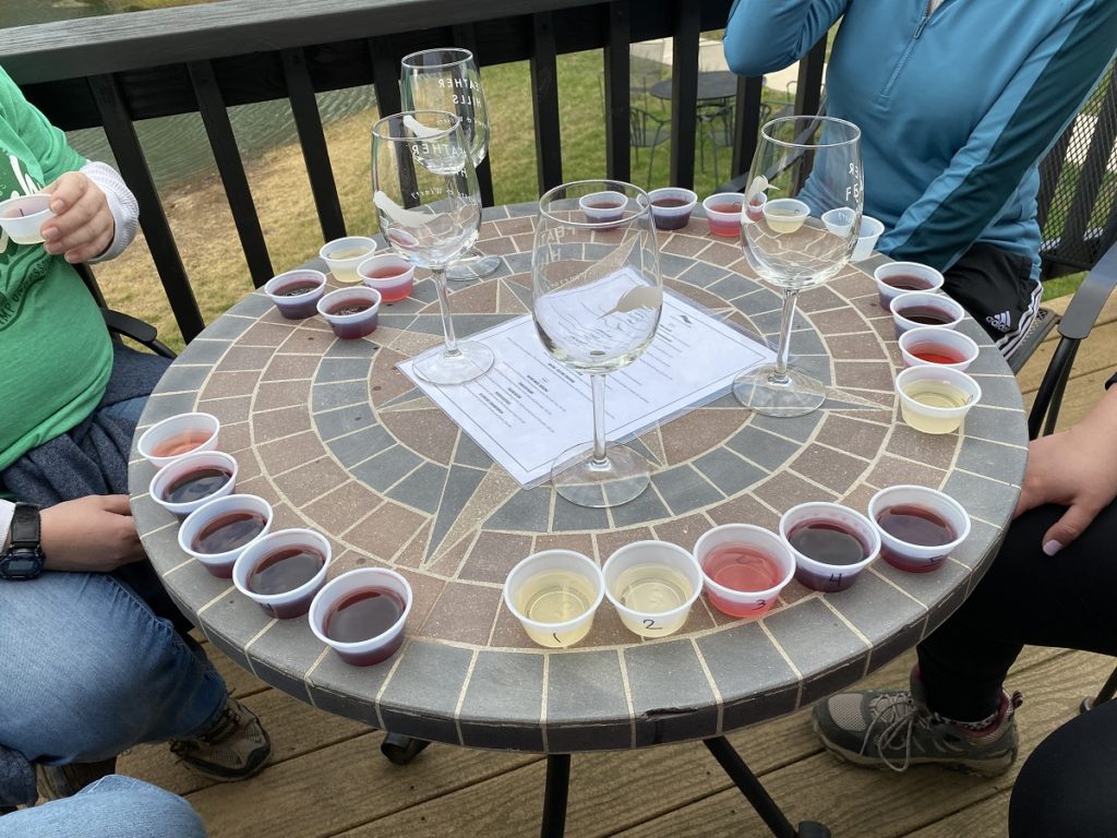 Waterfalls, Wildflowers, and Wineries Weekend Ondessonk