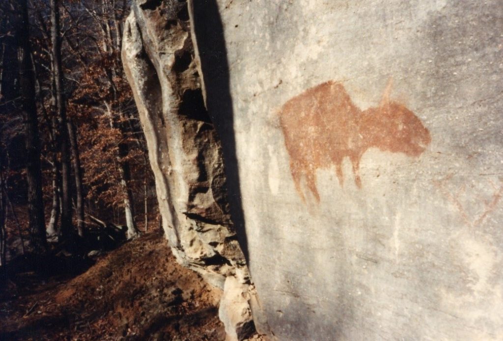 Camp Ondessonk Bleeding Buffalo