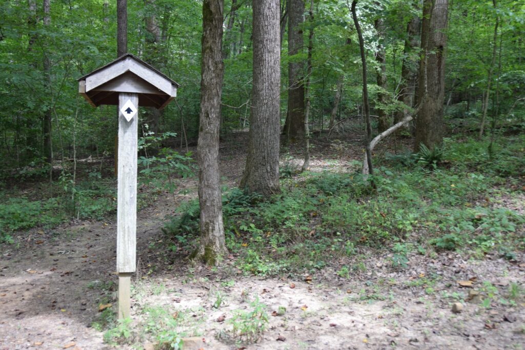 A wooden birdhouse nestled within a serene wooded area, perfect for hiking and biking enthusiasts.
