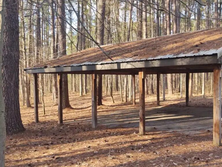 Wooden shelter in pine forest.