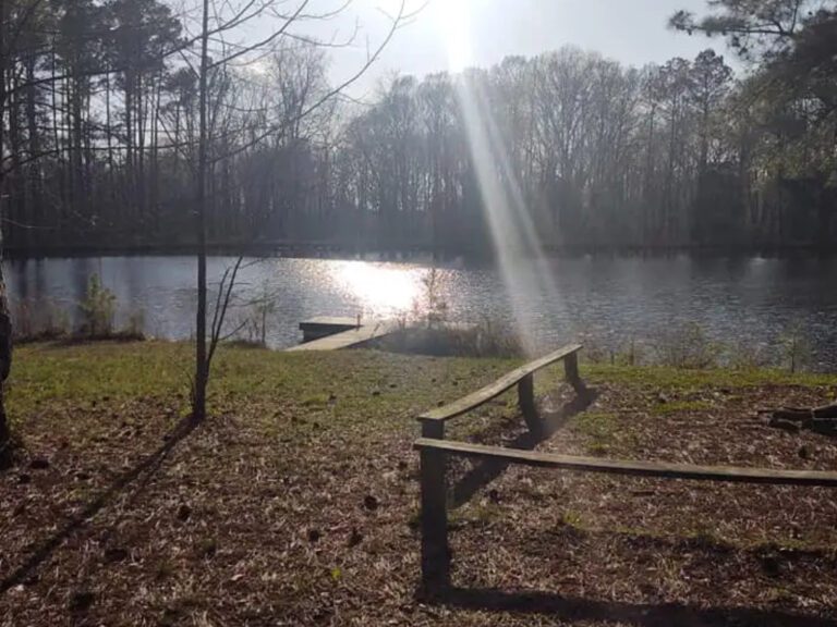 Sunny lake view with dock and bench.