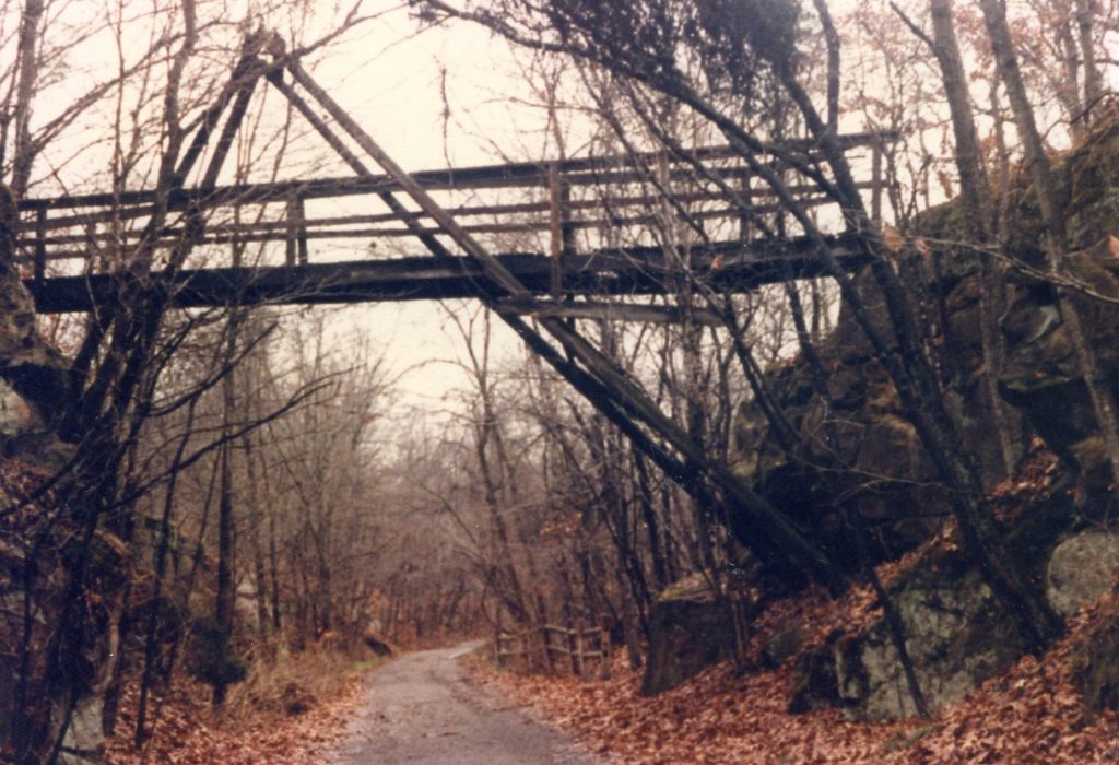Wooden bridge over path in woods.